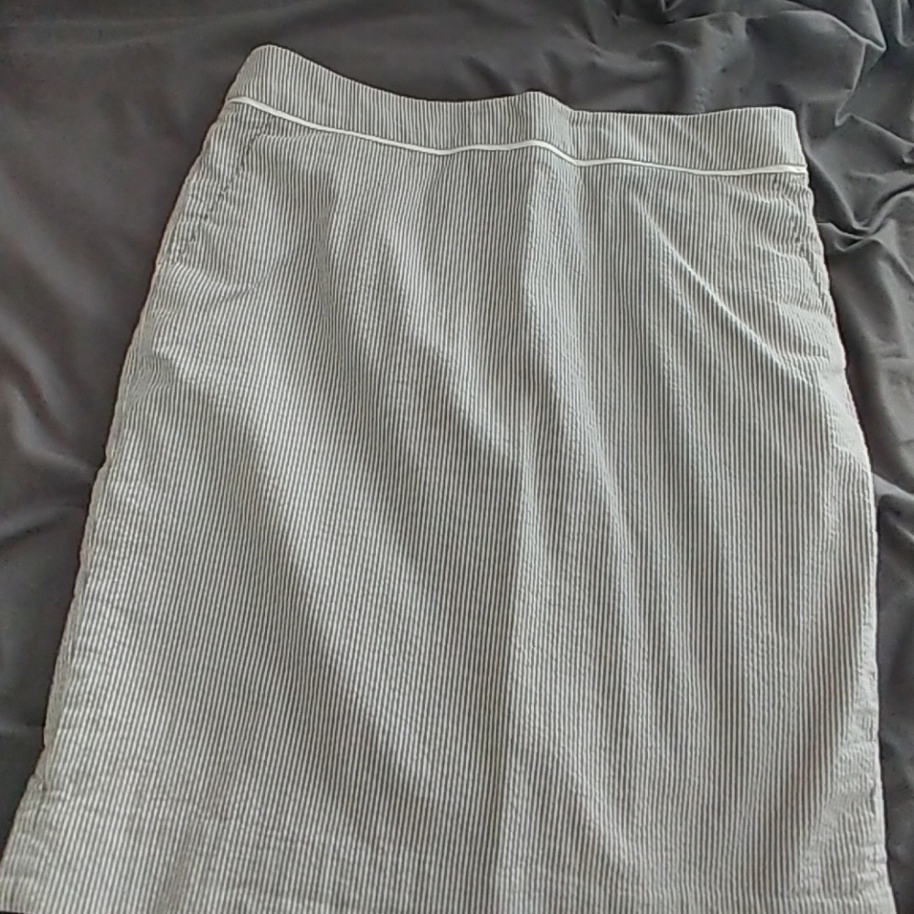 The Limited Skirt